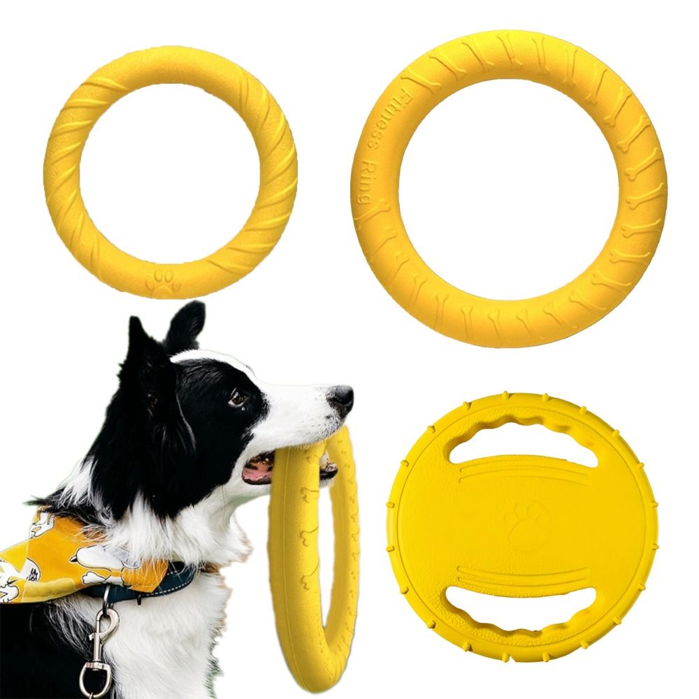 강아지 야외 놀이 장난감 세트 EVA 플로팅 플라잉 디 - Flying Disc Dog Training Toy 리뷰 및 가격