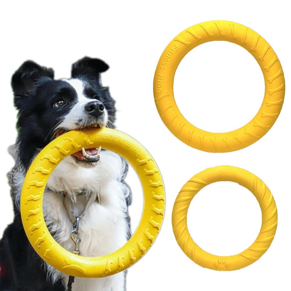강아지 야외 놀이 장난감 세트 EVA 플로팅 플라잉 디 - Flying Disc Dog Training Toy 리뷰 및 가격