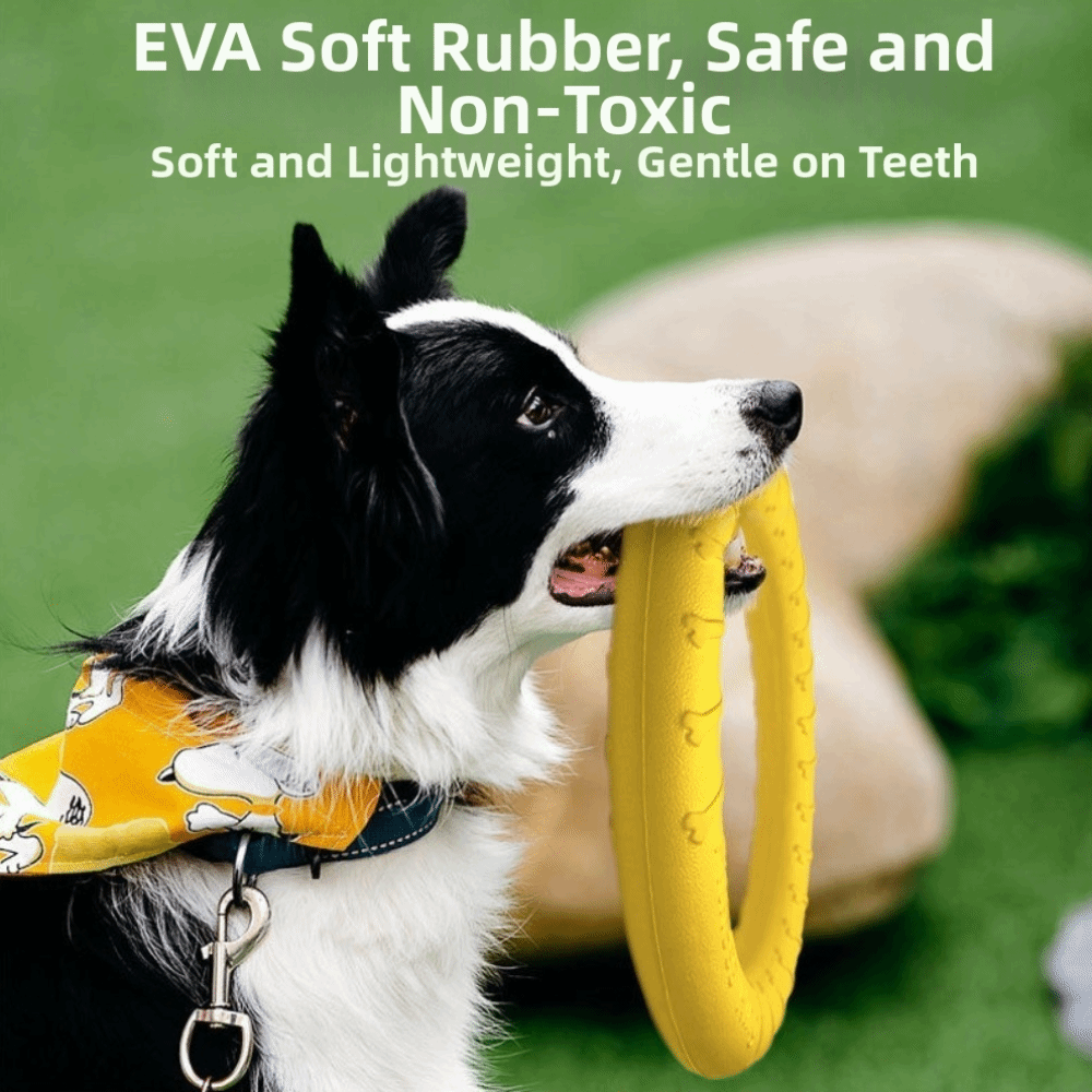 강아지 야외 놀이 장난감 세트 EVA 플로팅 플라잉 디 - Flying Disc Dog Training Toy 리뷰 및 가격