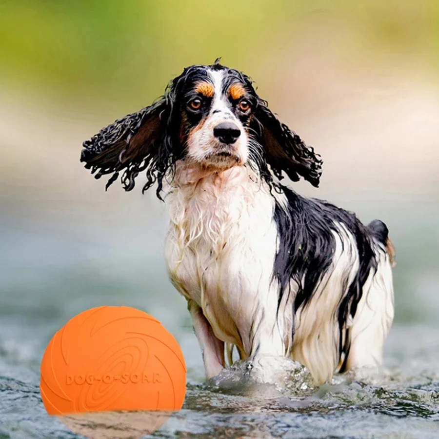 G 대형견용 골든 털 소재 반려동물용 플라잉 디스크 장 - Flying Disc Dog Training Toy 리뷰 및 가격