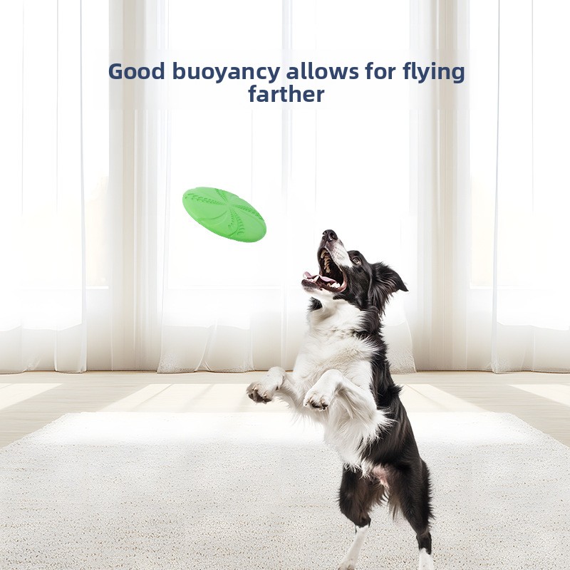 EVA 인터랙티브 훈련용 프리스비, 내구성 있는 물에  - Flying Disc Dog Training Toy 리뷰 및 가격