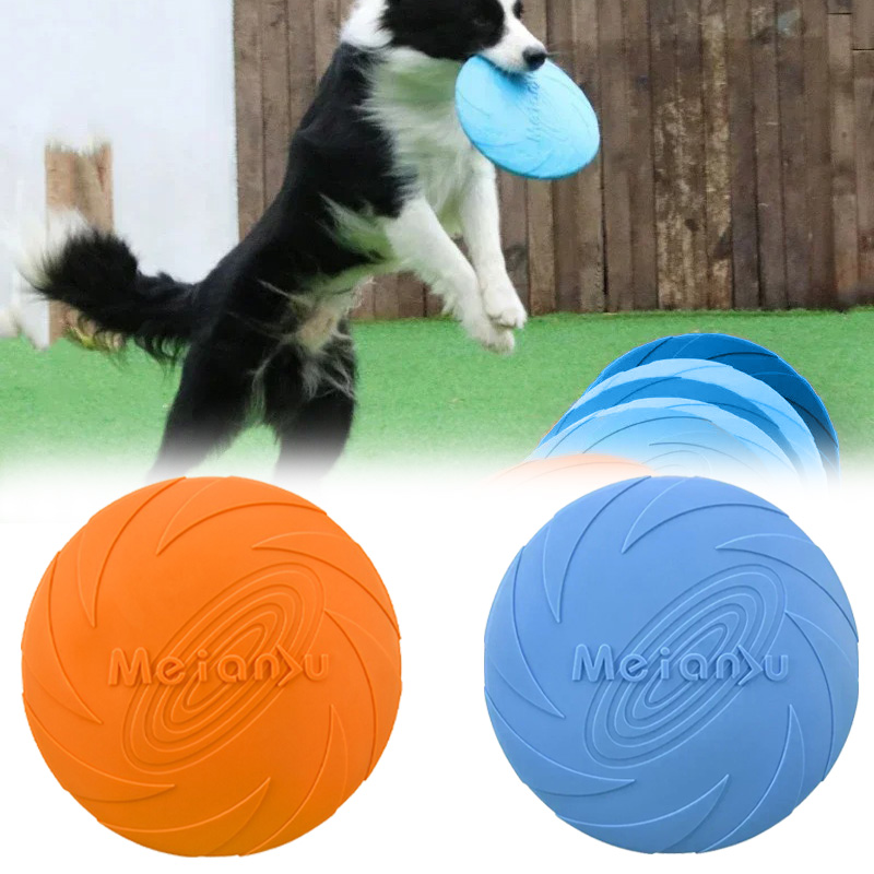 여러 가지 빛깔의 Frisbeed 개 장난감 22cm  - Flying Disc Dog Training Toy 리뷰 및 가격
