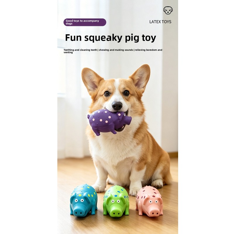 방수 강아지 프리스비 장난감 실리콘 플로팅 플라잉 디스 - Flying Disc Dog Training Toy 리뷰 및 가격