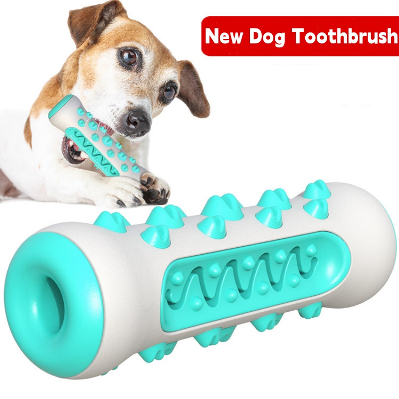 1개입 효소 성분 강아지용 치아 관리 장난감, 젖니가  - Teeth Cleaning Dog Chew Bone 리뷰 및 가격