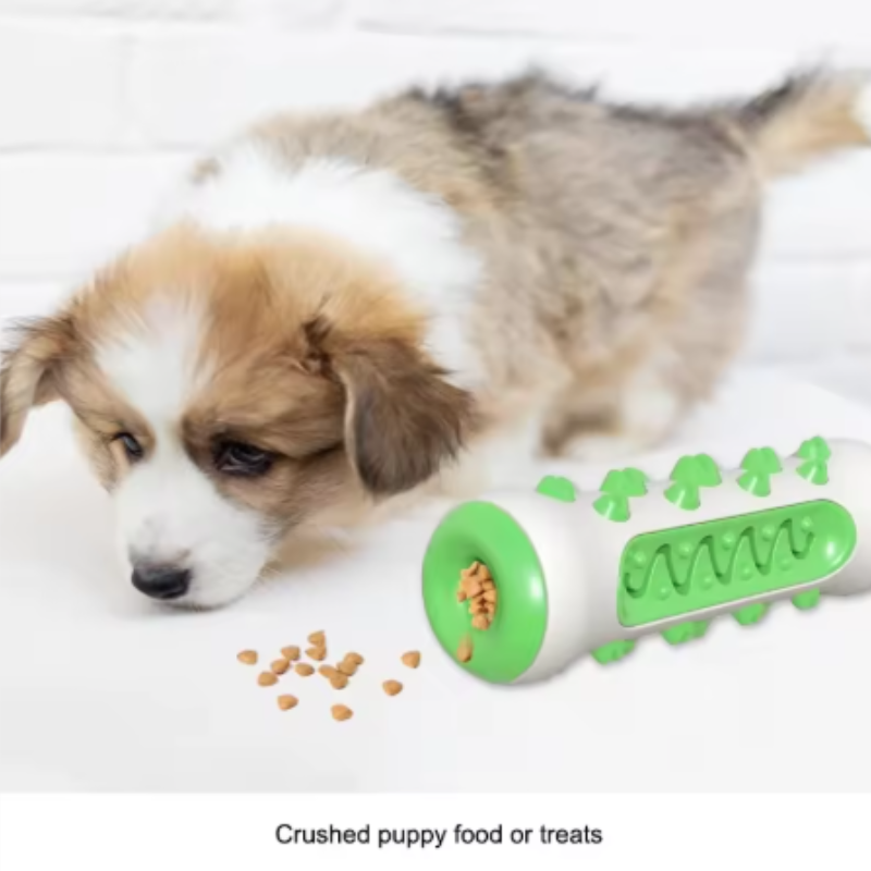 1개입 효소 성분 강아지용 치아 관리 장난감, 젖니가  - Teeth Cleaning Dog Chew Bone 리뷰 및 가격
