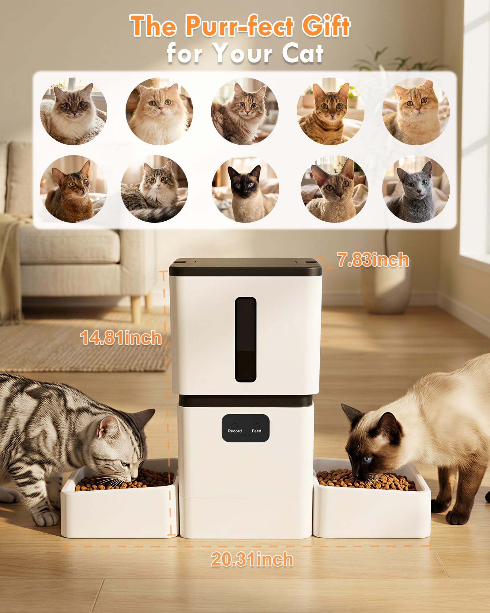 5GHz WiFi 8L 스마트 자동 애완동물 급식기 듀 - Pet Feeders 리뷰 및 가격